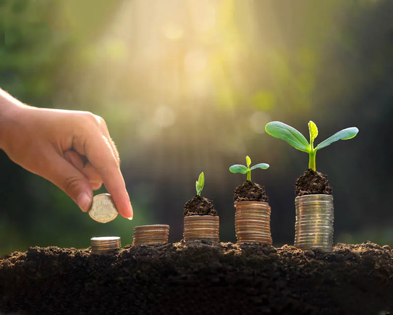 Help International Welfare Trust